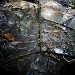 shattered_sodahead.com