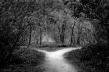 medium_diverging_paths-270x180