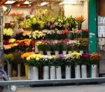 686px-FlowerShop_ShangHaiStreet_HK