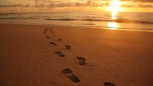 footprints