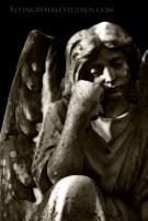 s836329897140350377_p90_i2_w288