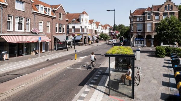 2-these-bus-stop-roofs-are-now-tiny-parks-for-bees-813x457